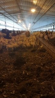 5820 Coal Bank Rd, Sharon Grove, KY 42280